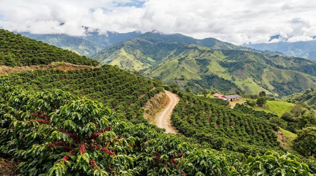 Geography and Altitude: Colombia's Natural Advantage