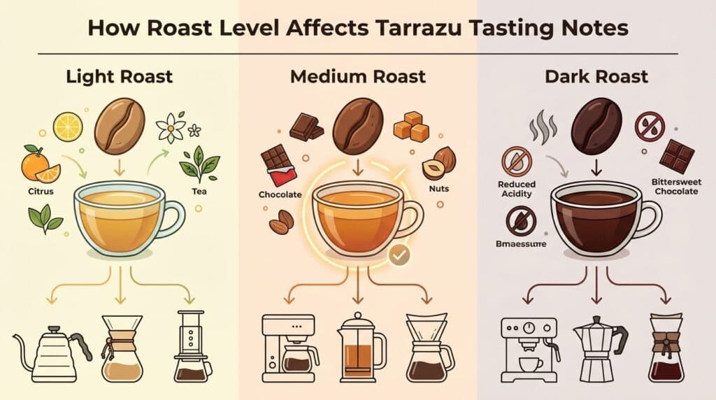How Roast Level Affects Tarrazu Tasting Notes